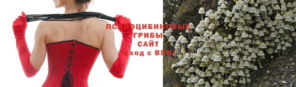 сатива Верхнеуральск