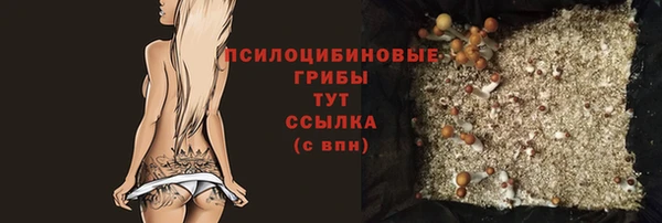 сатива Верхнеуральск